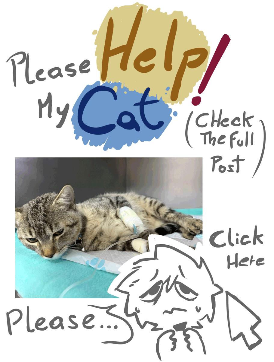 LobitoMs_SRT's tweet image. ⚠️GUYS I NEED TO SAVE MY CAT

My cat is going through a terrible time, and if I can't pay for his treatment, it could be fatal.

Please contact me if you want more information and would like to help me.
#commissionsopen #emergencycommissions #artcommissions #art #Commission #cats