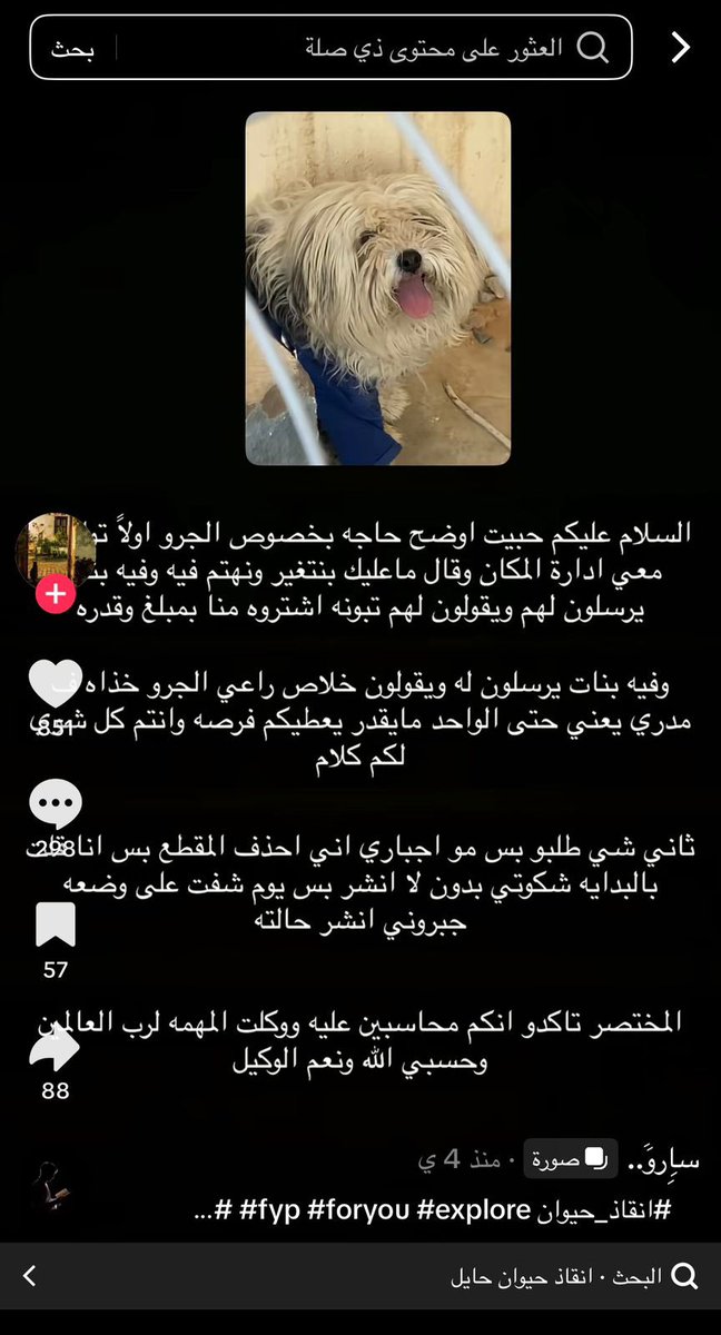 في كل كبد رطب أجر 🐈🐶❤️ صدقه جارية tweet media