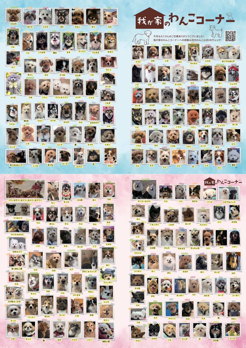 月刊わんこ編集部 tweet media