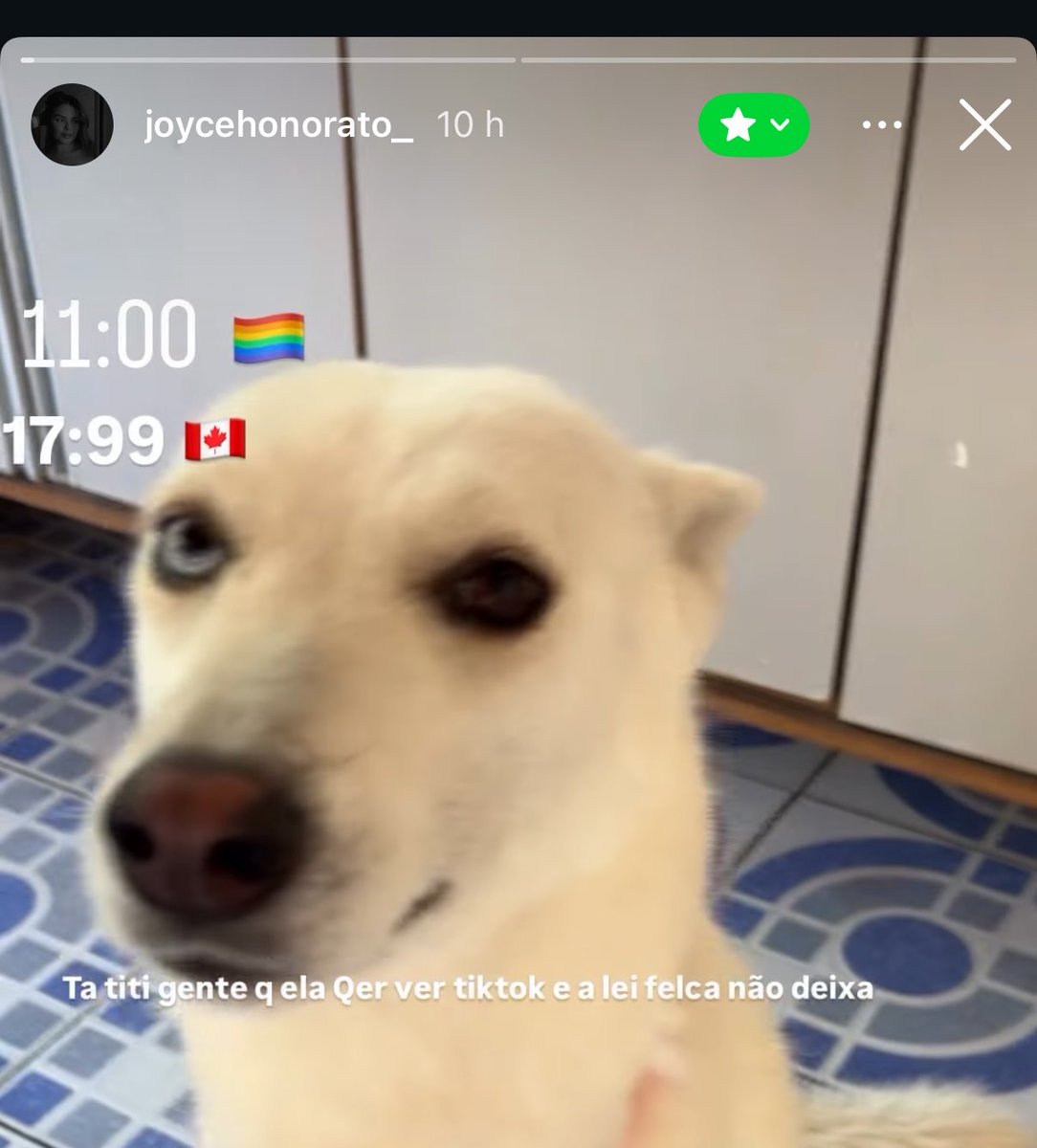 salamitos picante tweet media