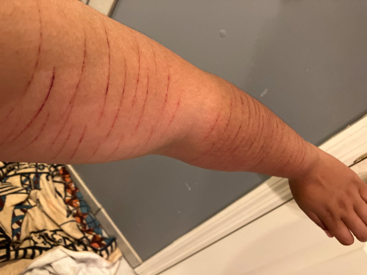 Sage Montanez tweet media