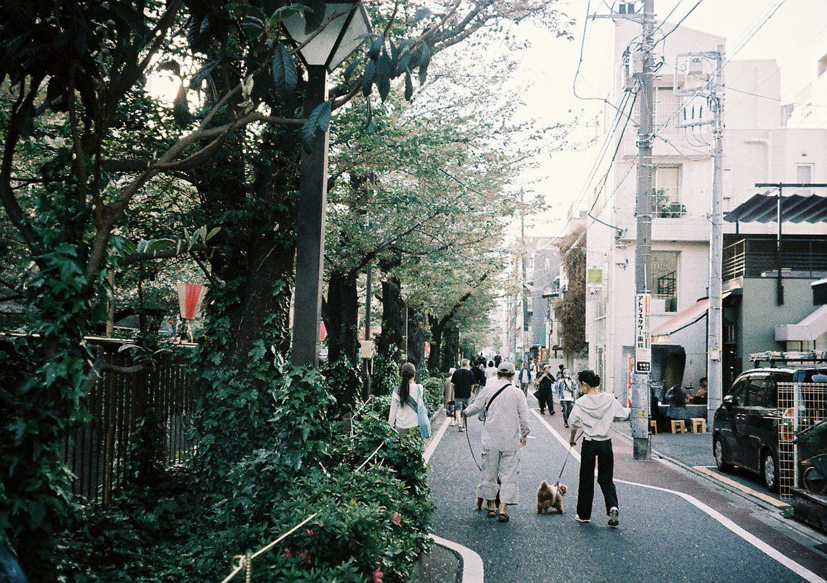 s🗡🎞️ tweet media