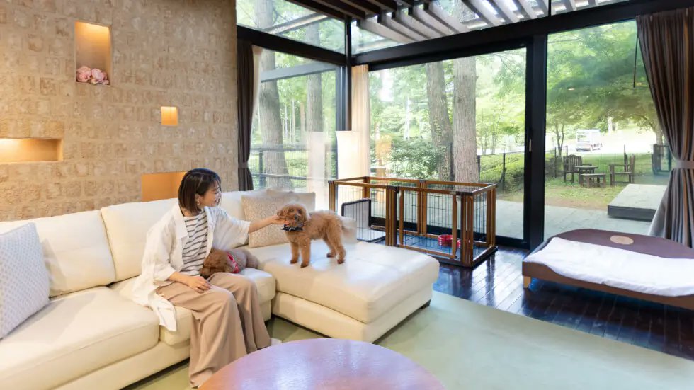 TabiraiOkinawa's tweet photo. 【愛犬と泊まれる神リゾート🐶】
はしきちです😊

手ぶらでOK！愛犬と一緒に快適ステイが叶うリゾート。設備充実でわんちゃんも大満足。

・プライベートドッグラン付き客室🐕
・アメニティ完備で手ぶらOK✨
・室内＆屋外ドッグランあり

初めてのペット旅行にも安心。愛犬と特別な思い出作りにおすすめ◎

人気のわんこ宿は早めの予約が安心👇https://t.co/FHuPVAZcuF