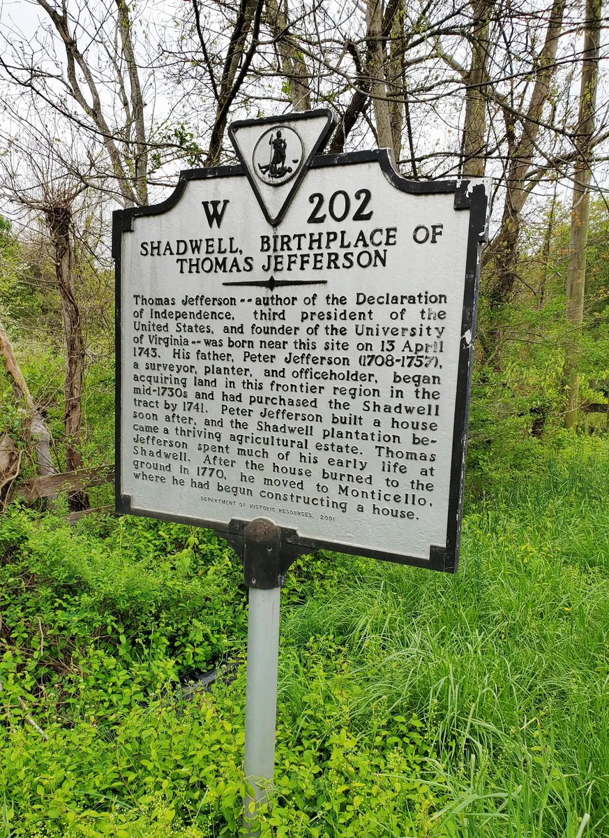 Scout 🇺🇸 tweet media