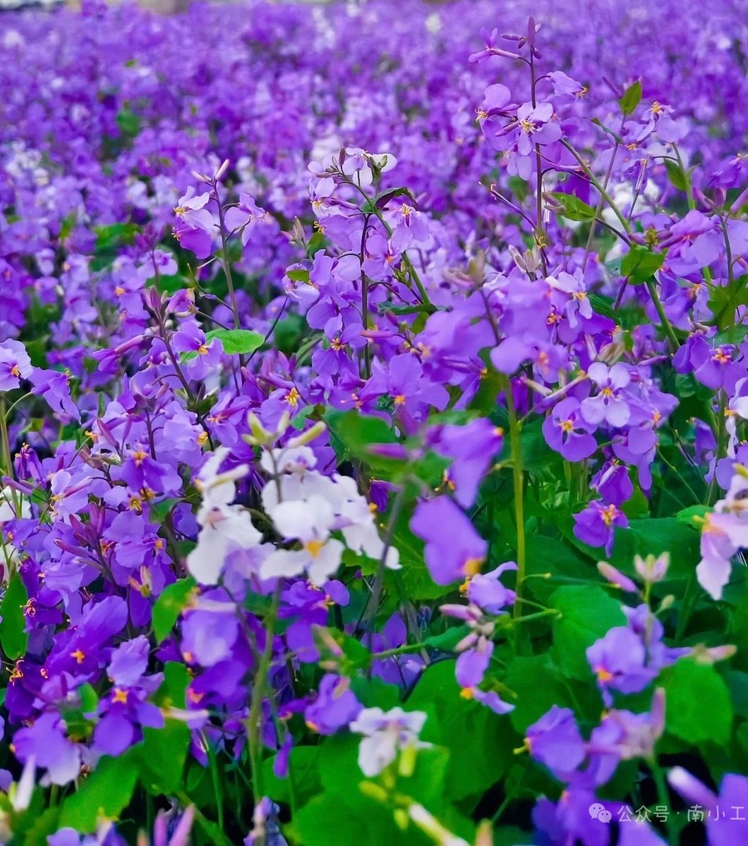 kiko是幽靈哦~ tweet media