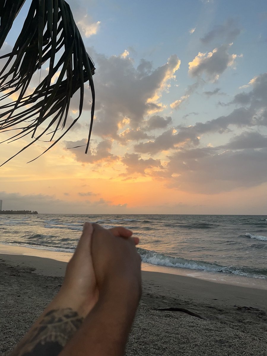 tesuer1's tweet photo. Un lugar feliz https://t.co/a7k8Ea18jB