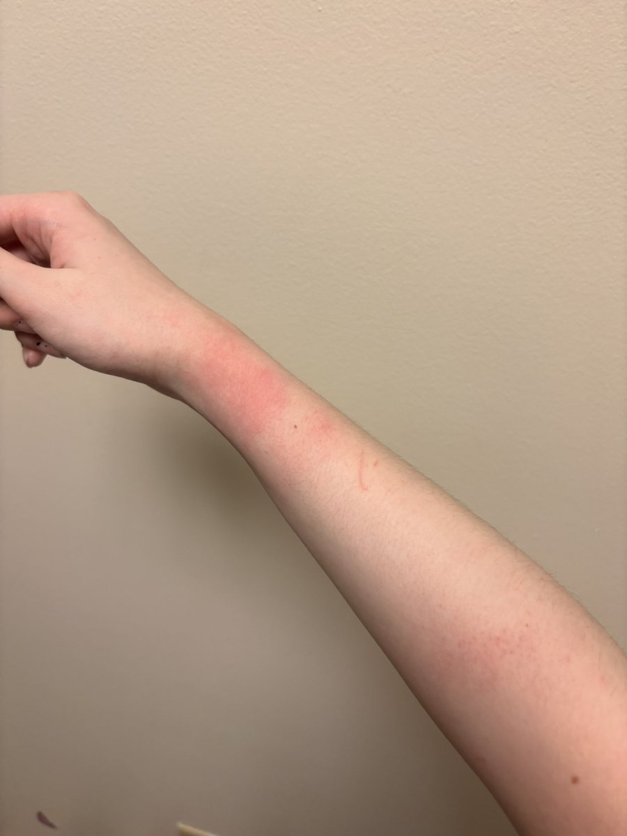 Andrew 🐁 tweet media