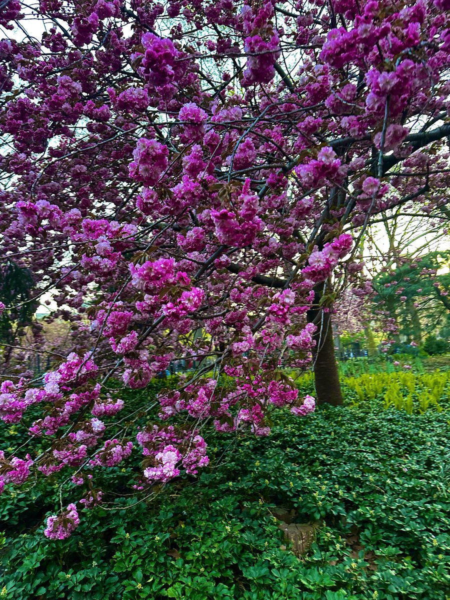 internet 🪽 tweet media