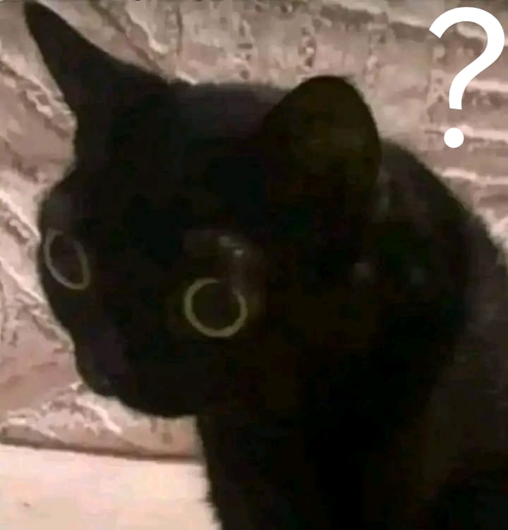 แ
* ๐
อ๐อ๐งอ๐ข๐๐ฅ๐ใ tweet media