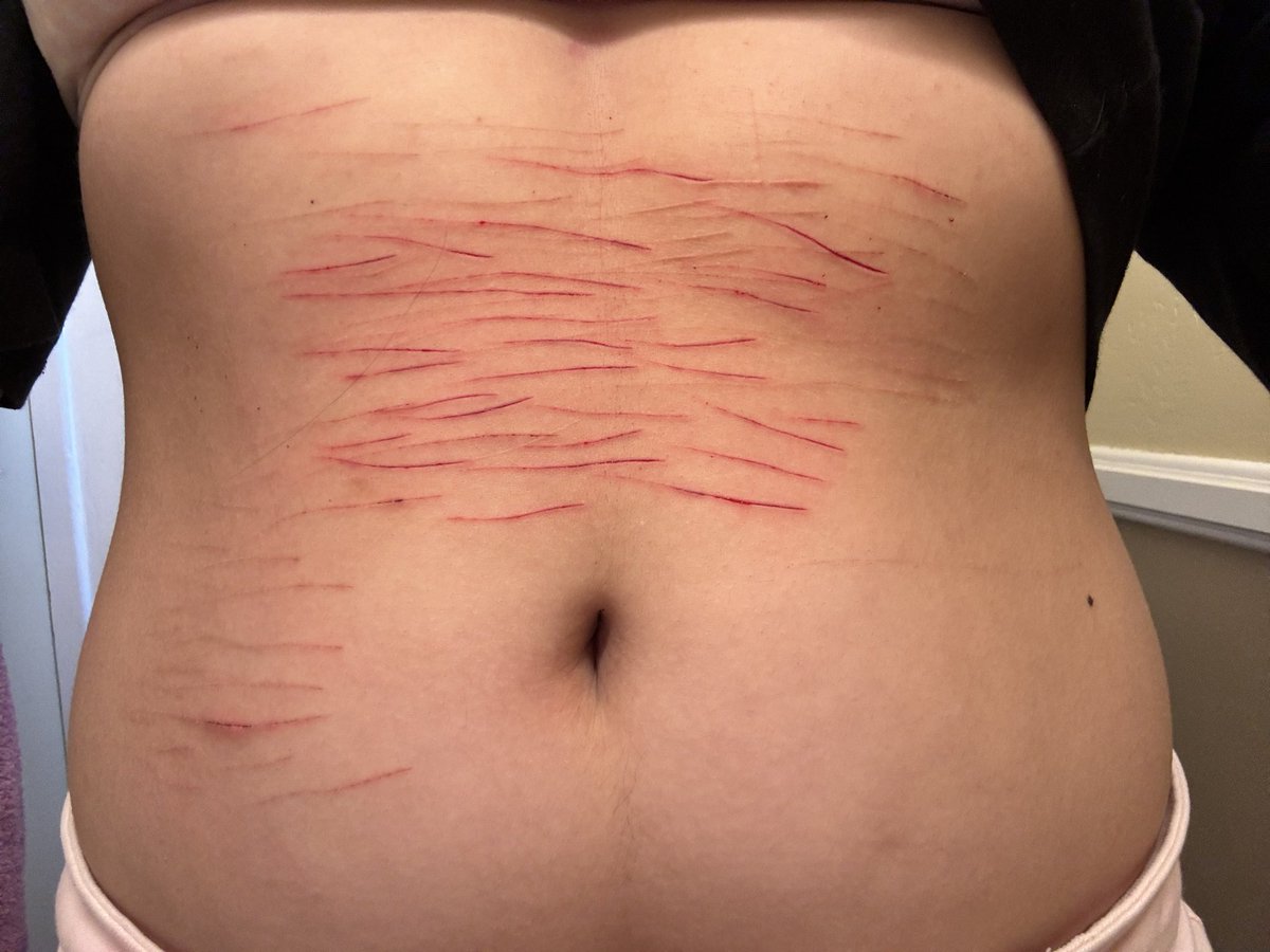 chiakiselli's tweet image. ayo my blade HIGHKEY has a dent in it so my cuts look weird but its okay…
—————————————
#styro #shtwt #shedtwt #shhtwt