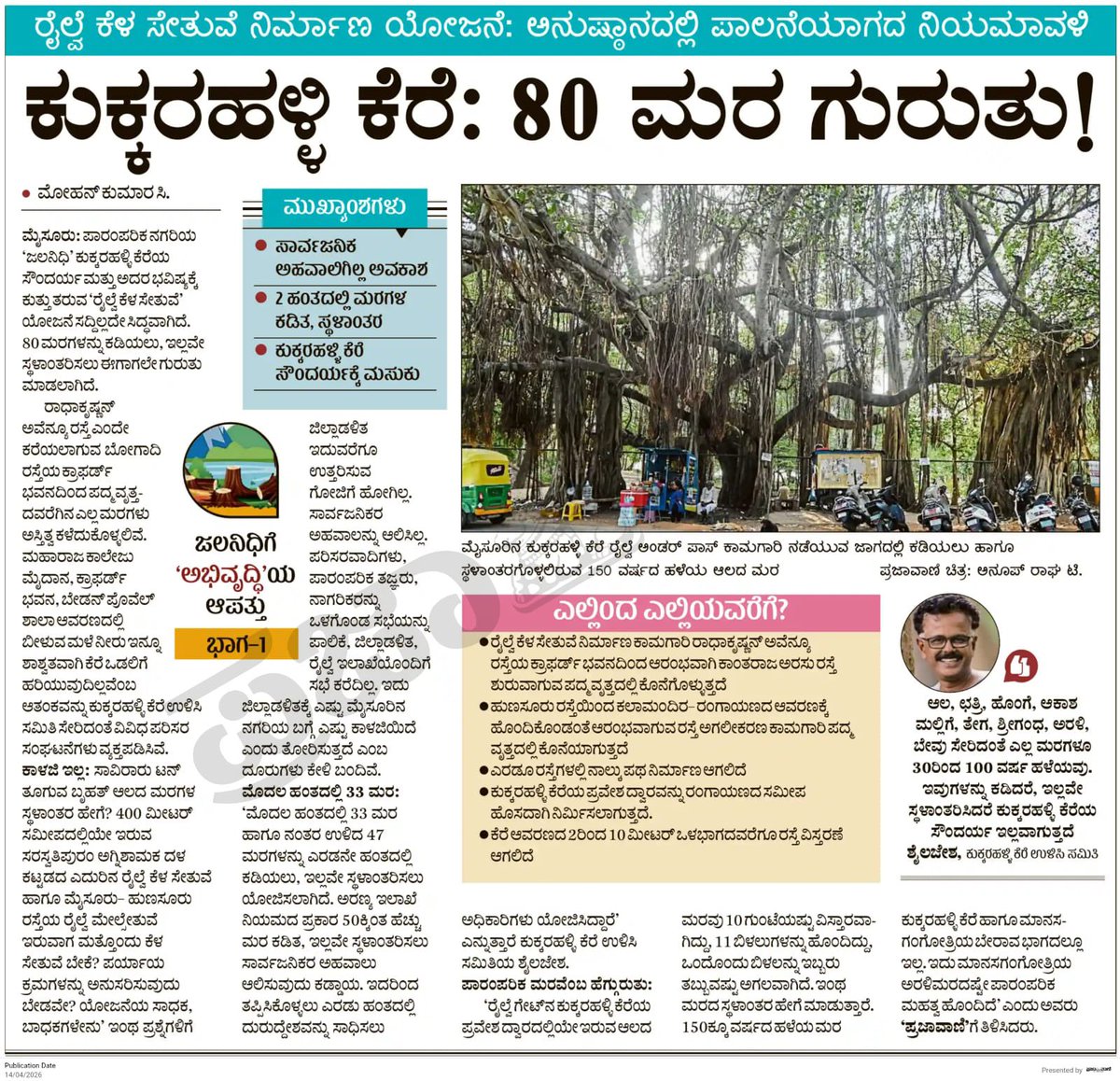 ravikeerthi22's tweet image. 150 year old Banyan tree &amp;amp; other 80 trees marked for RUB work &amp;amp; No public hearing for chopping of trees 🙂🙂

This not only bane for trees but problem for other Catchment area of Kukkarahalli Lake which fills lake with rain water from Maharaja grounds side.