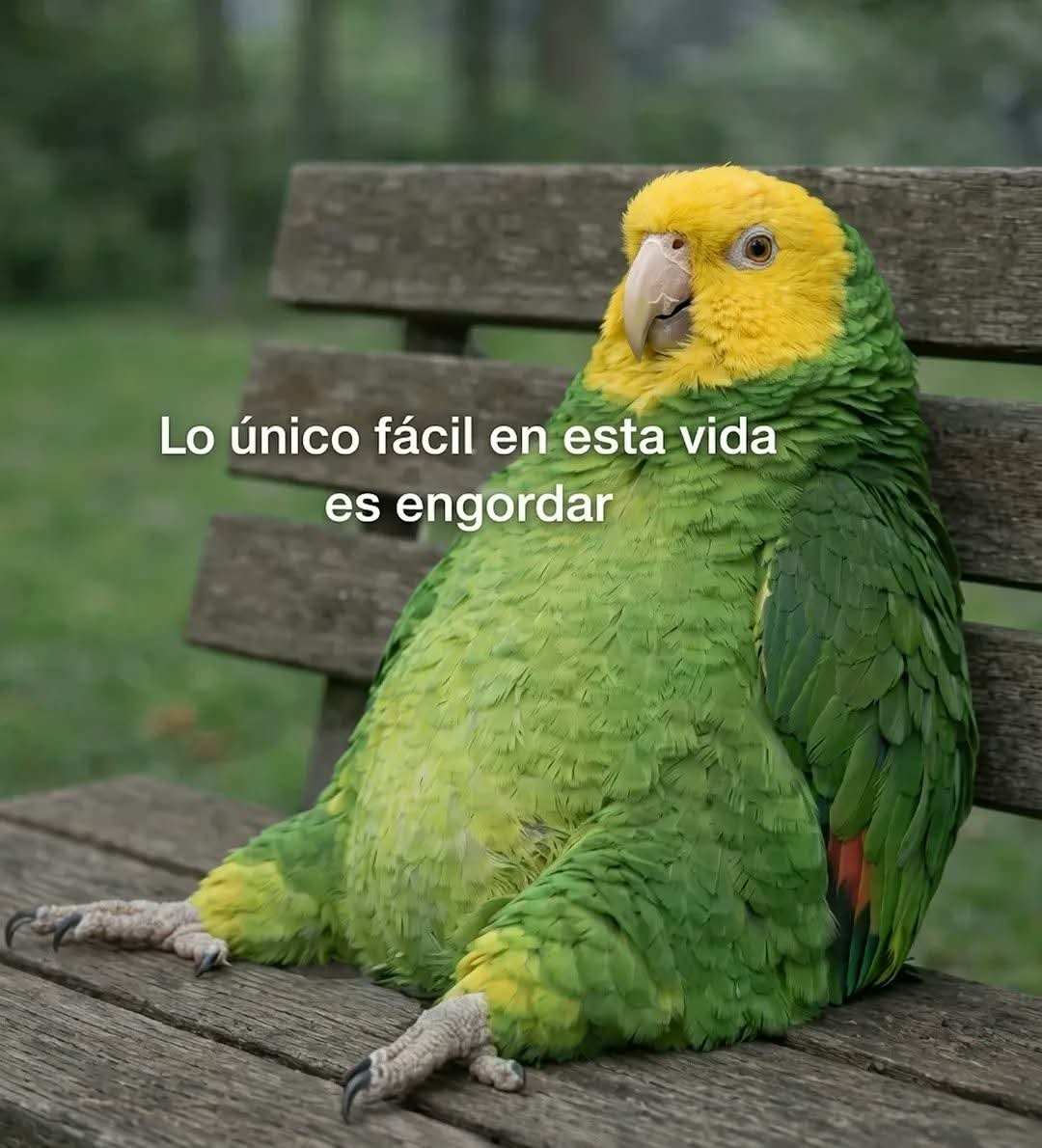 Animalitos en aprietos. tweet media