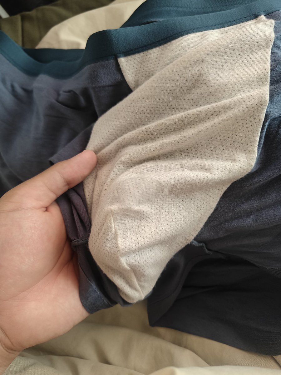 狒狒熊牛 tweet media