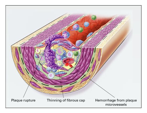 Dr. Ammous tweet media