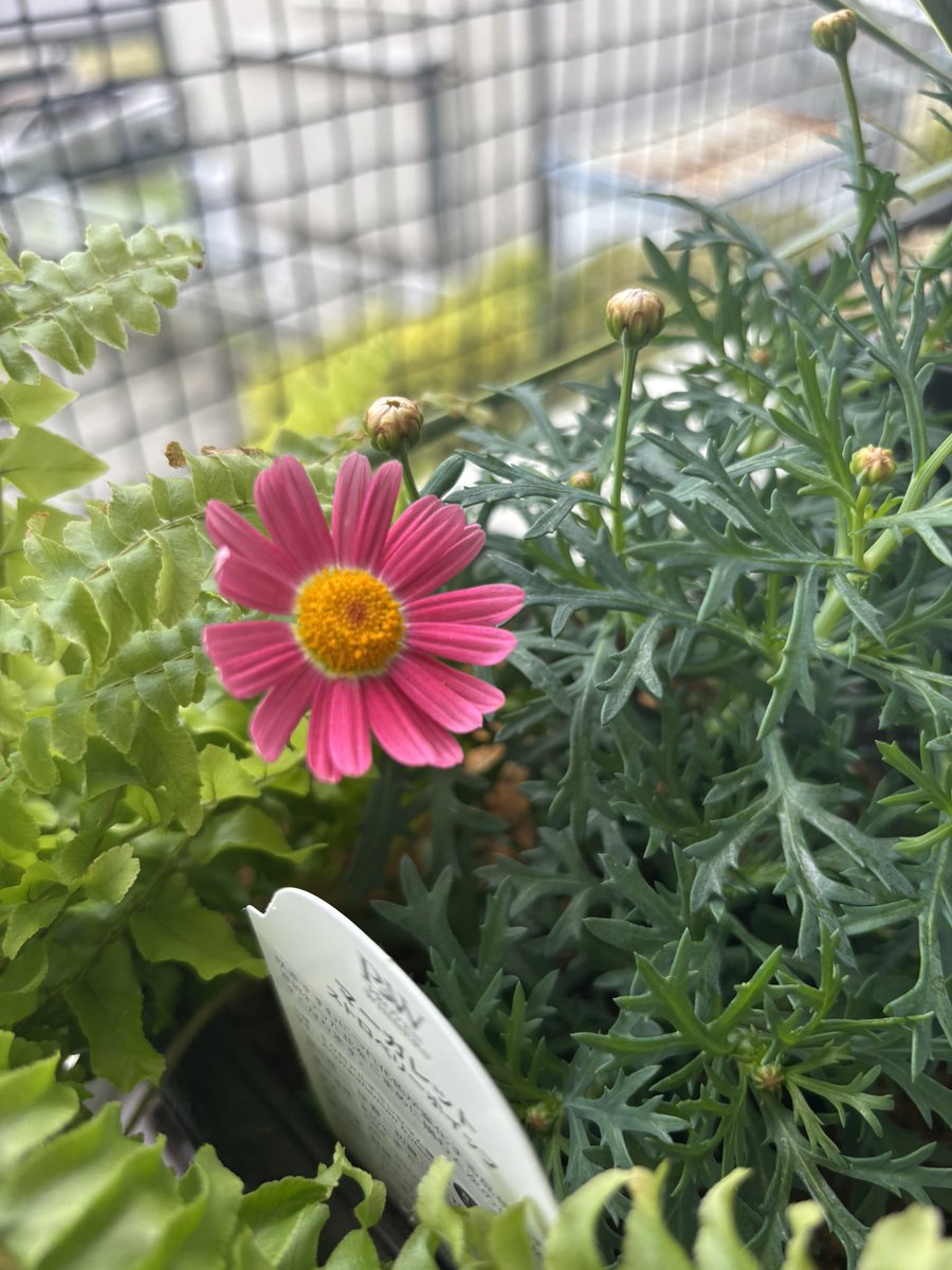 BNG🔔東2ち68ab tweet media