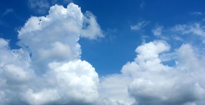 NutaniMan tweet media