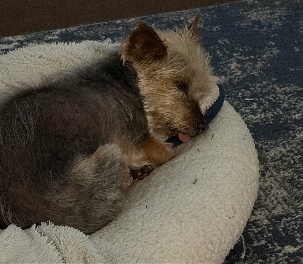 beebs 💋 tweet media