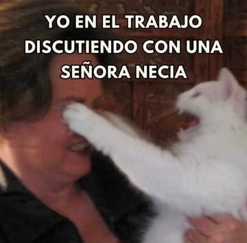 FraseSimple's tweet photo. https://t.co/6BQOvvA8ji