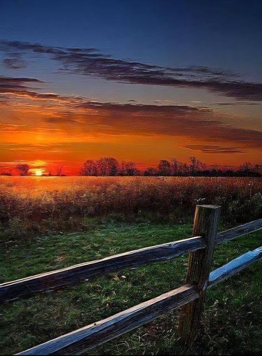 Rocket_Medic tweet media