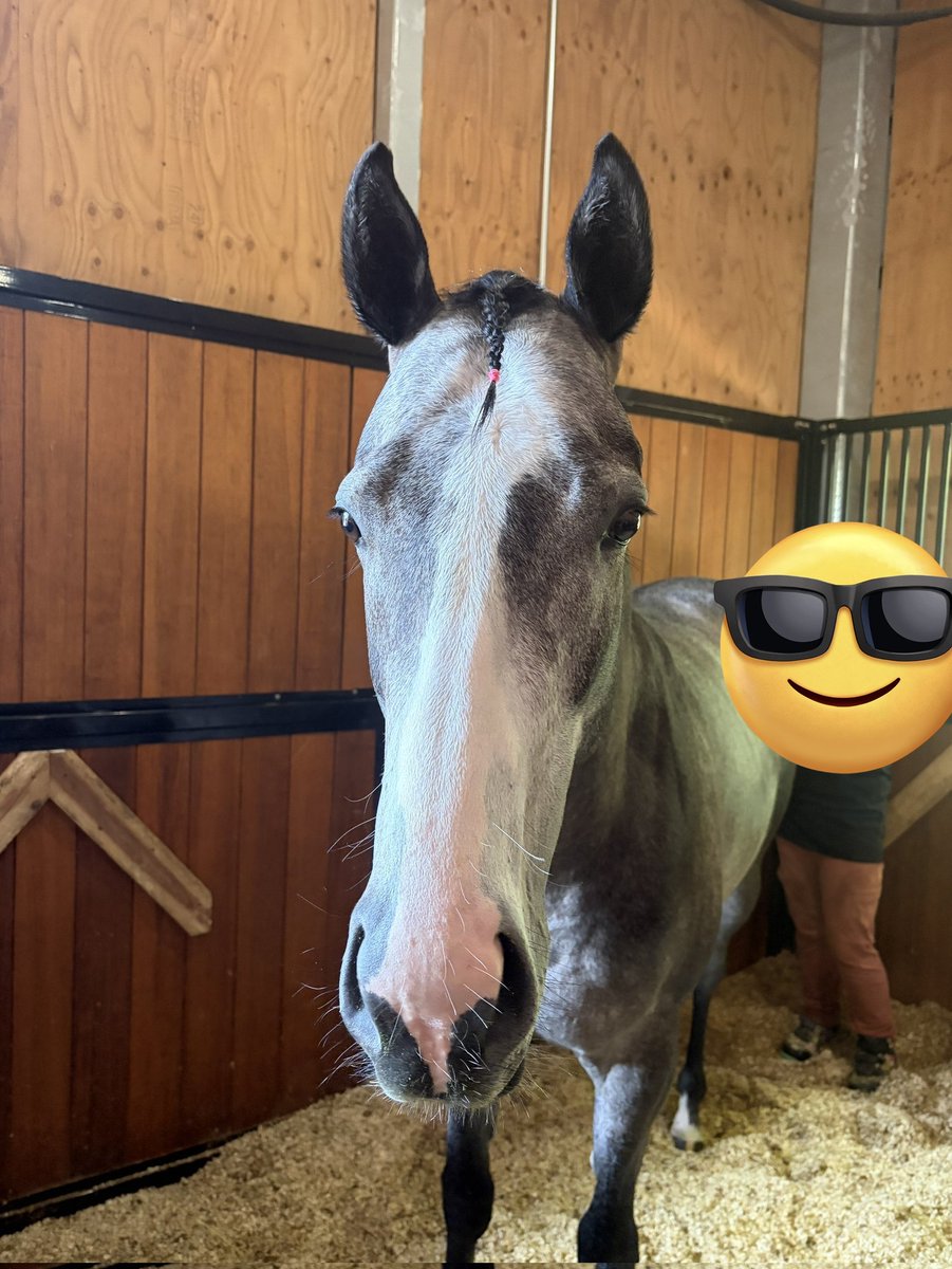 安藤まぐろ🐎 tweet media