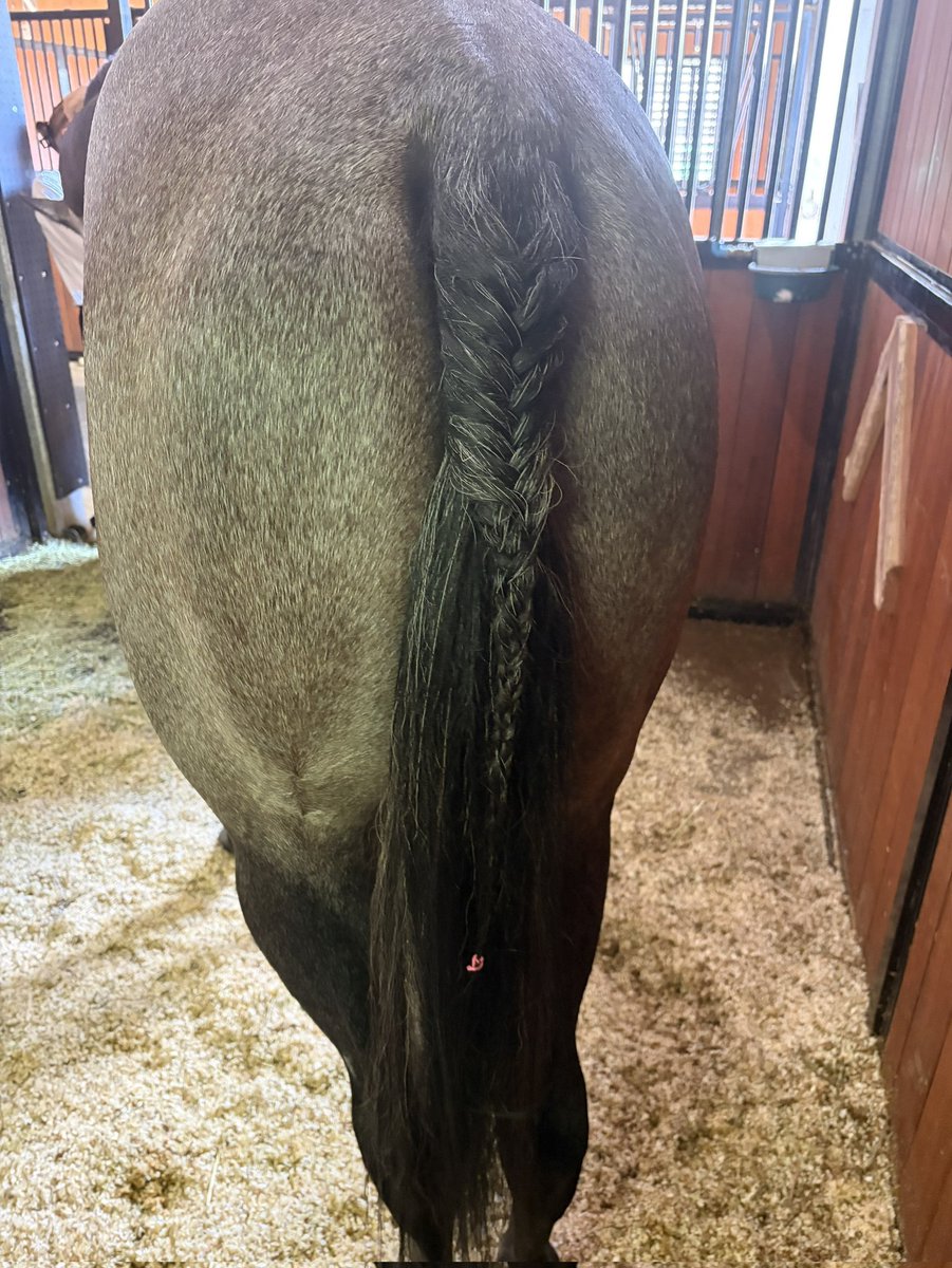 安藤まぐろ🐎 tweet media