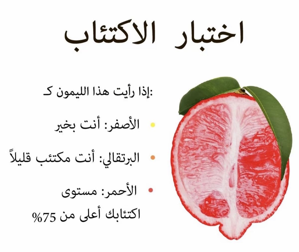 ᴿ ᴼ ‎ ‎ ᴺ 𐙚˚ tweet media