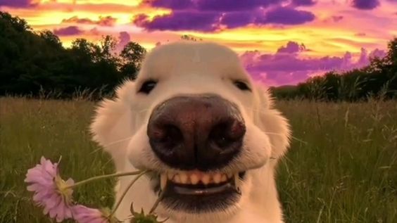 dEy-yiE! 😼 RS 📌 tweet media