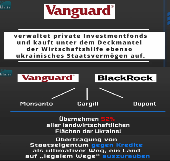 Happy Doll tweet media