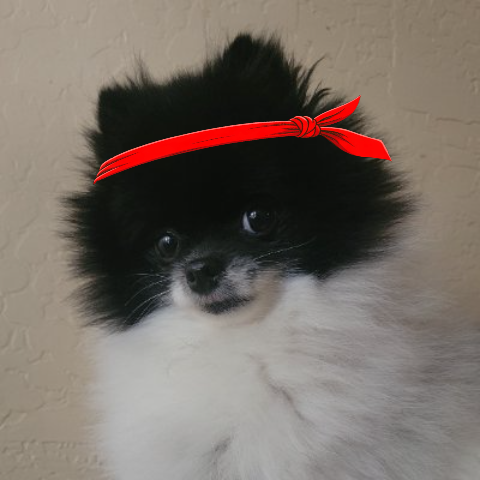 pufffren's tweet photo. @VeigarCrypto Lock in!

$DUMBMONEY
CAjtTHvC878f8cZ4zEwdvgjkjFM7rbYN8Mb1go1cpump https://t.co/y0jw6UqQGm