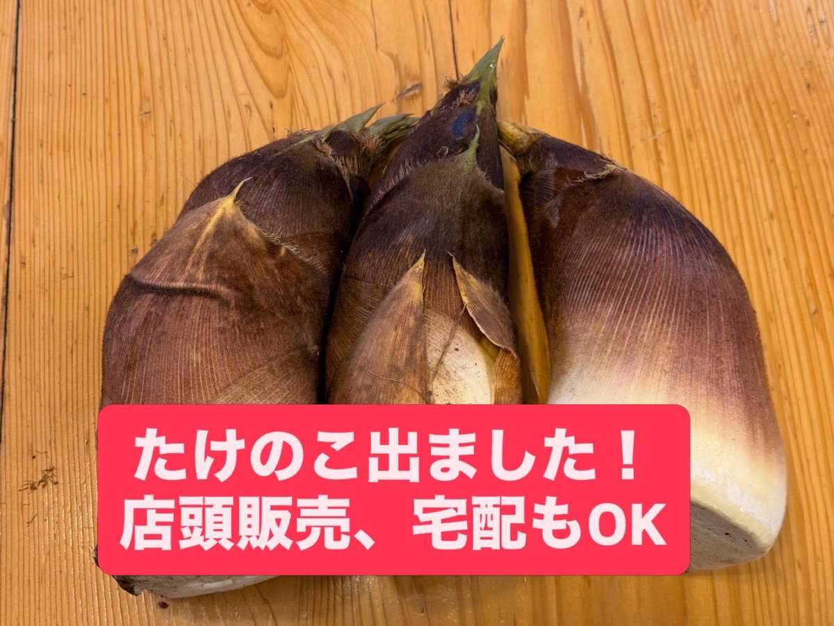 テレビ番組生中継情報！
4月15日、9時55分東北放送テレビ「ひるまでウォッチン！」いなか道の駅やしまやとたけのこ畑からの生中継です。たけのこも出始め、いなか道の駅やしまやも賑やかになりました。たけのこ掘りやたけのこ料理も出るかなぁ〜。サンバは？　ご覧下さい。koya8408.com