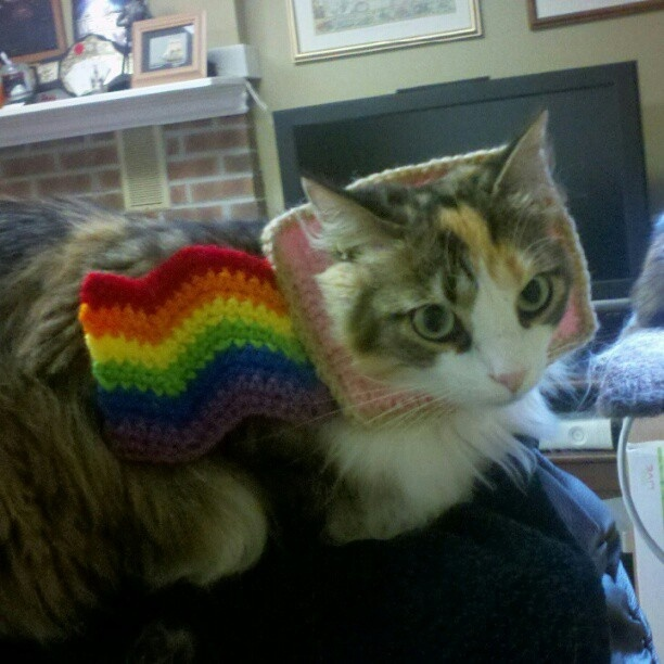 Nyan Cat Fans tweet media