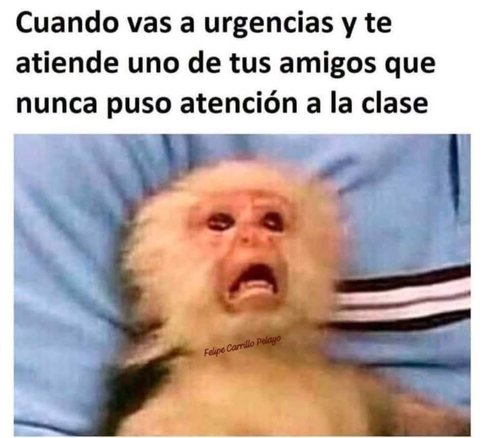 El Meme tweet media