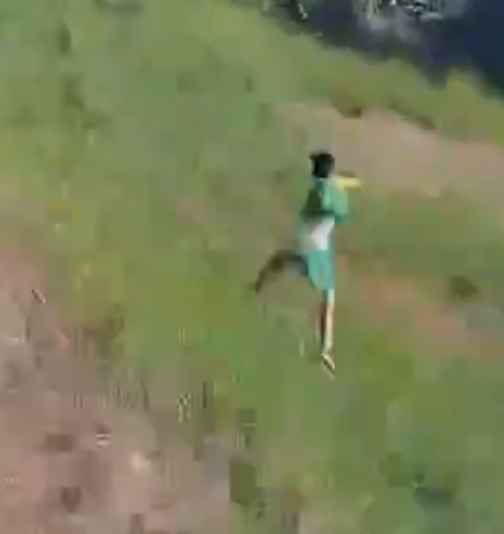 Cris Armando 🇵🇸 tweet media