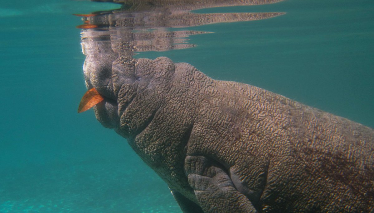 Con L de La Desempleada 🍉🍉🍉🍉🍉 tweet media