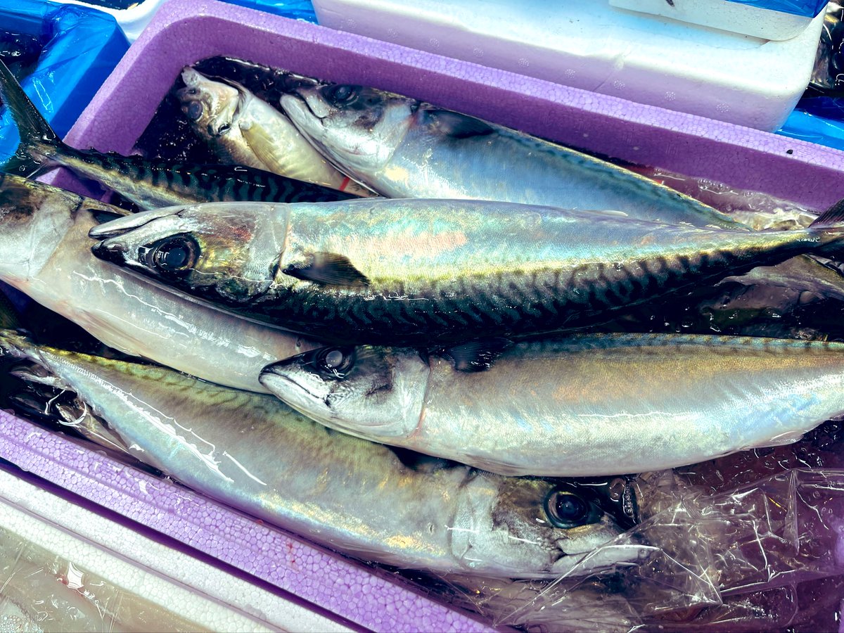 アンドセジュール tweet media