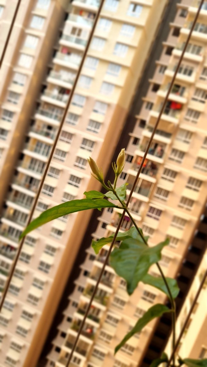 t h e P V R 2.0 tweet media