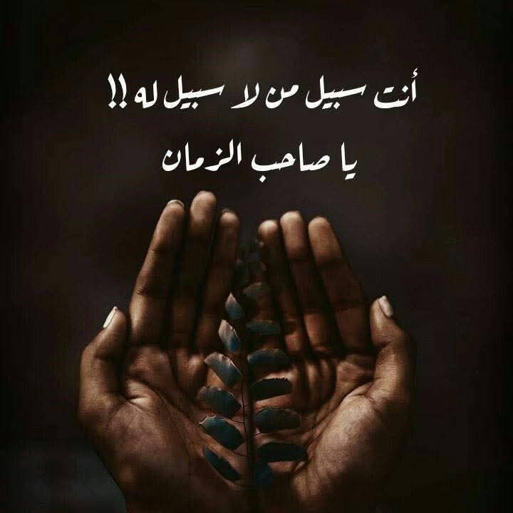 Zaed___K tweet media