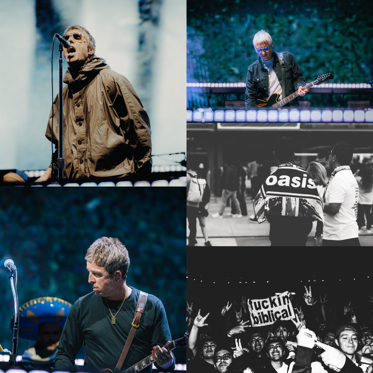 Indie 505 tweet media