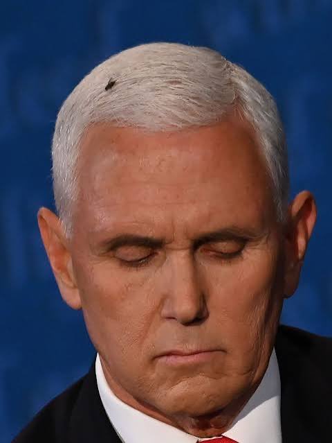 NOYB🇺🇸💋💄⚖️ 💅🏻 tweet media