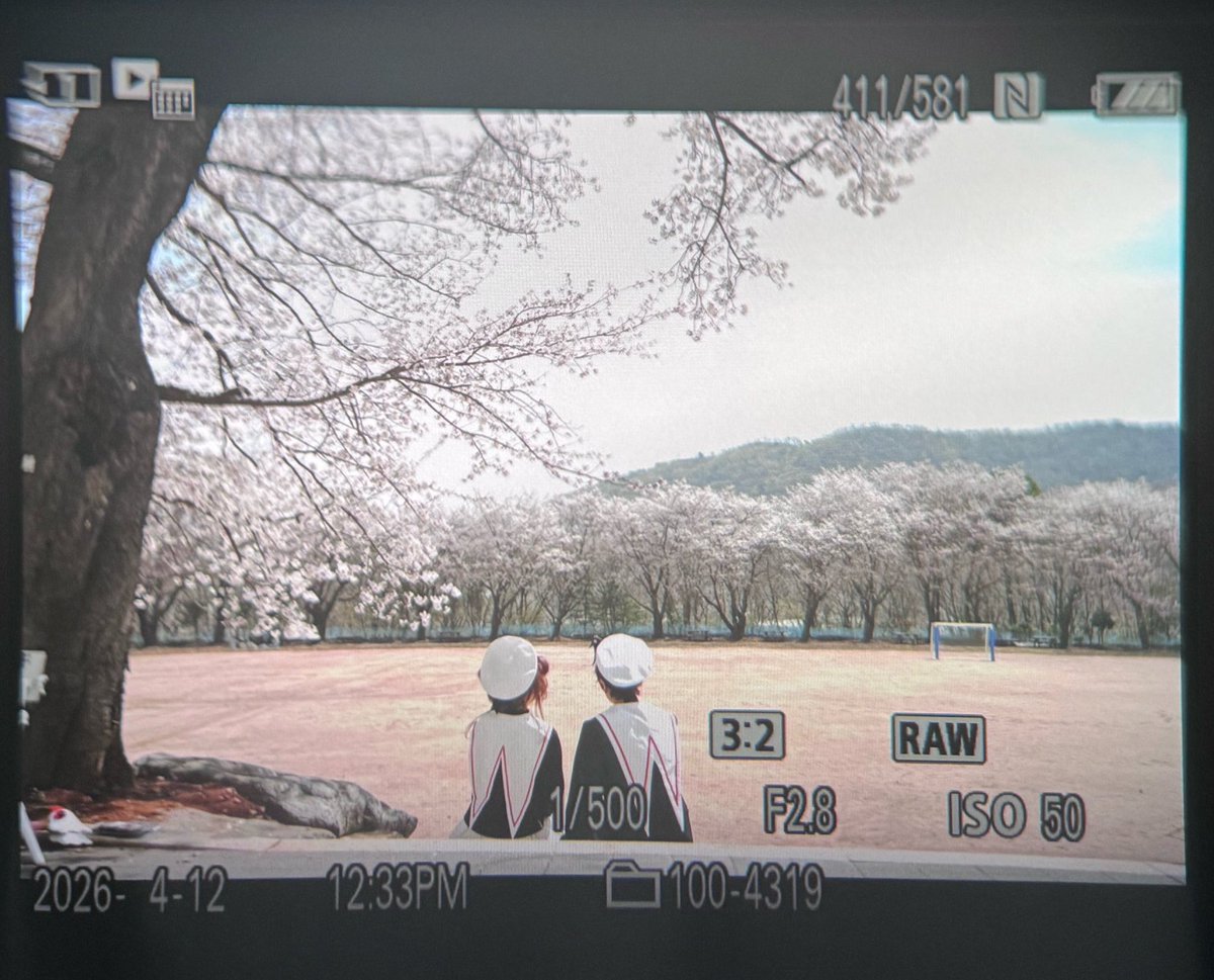 달리 tweet media