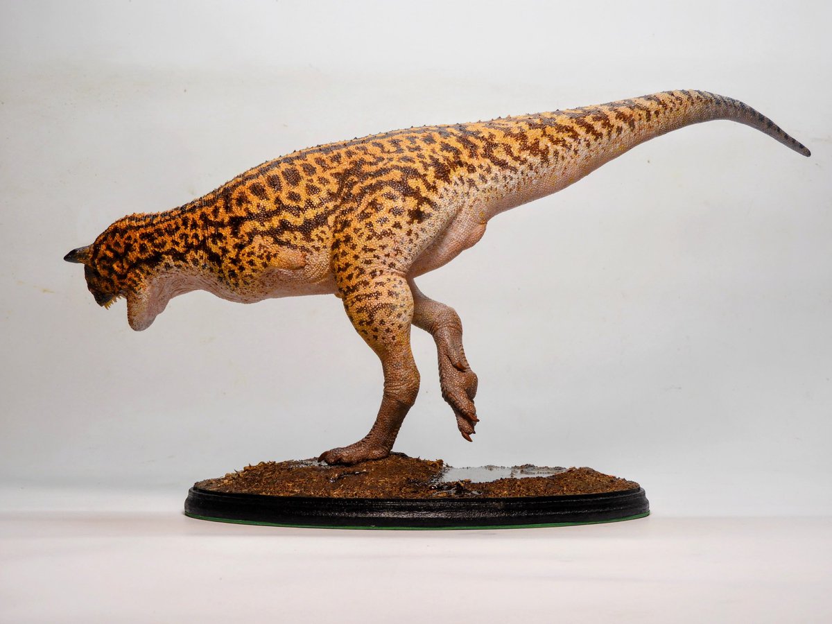 Lucas Jaymez tweet media