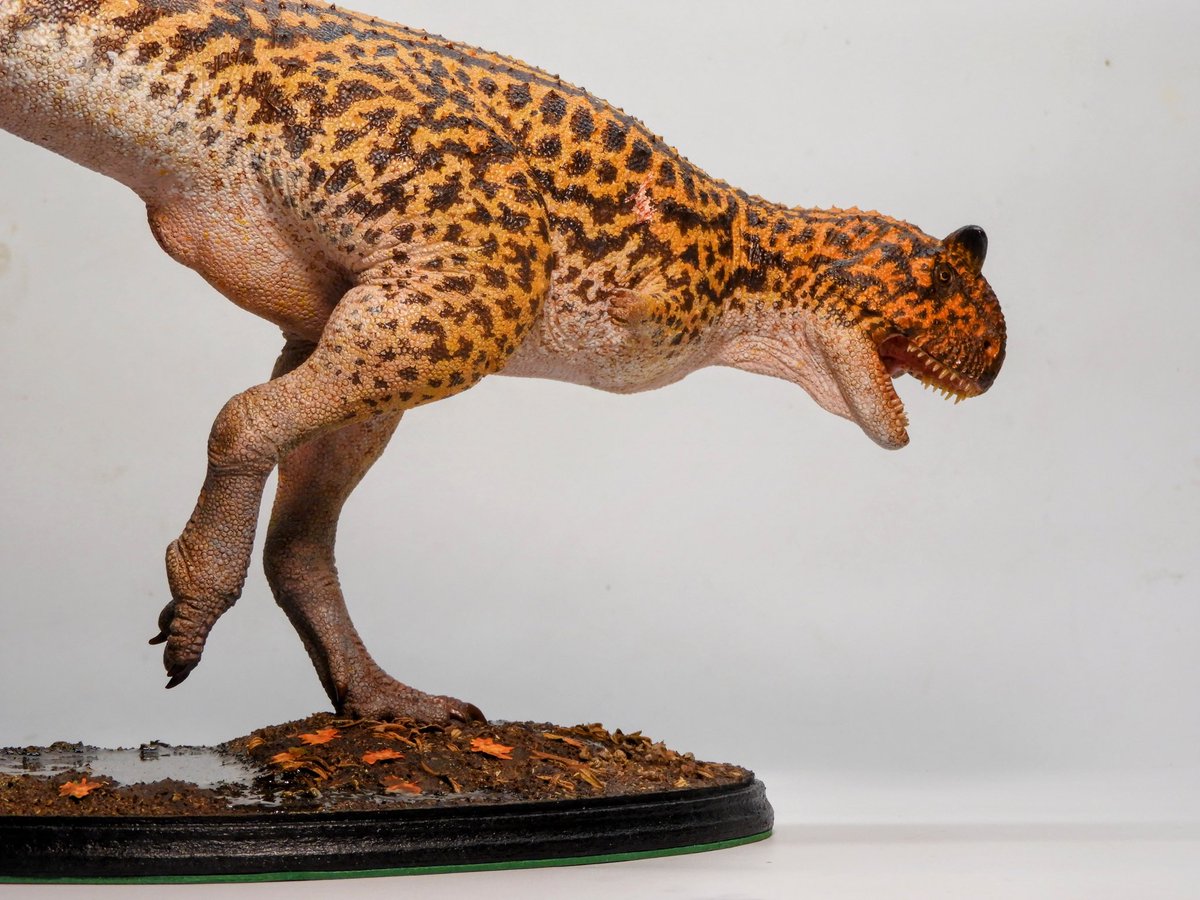 Lucas Jaymez tweet media