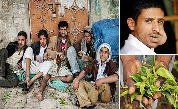 ⚜️Dr. Yuxel Hoš tweet media