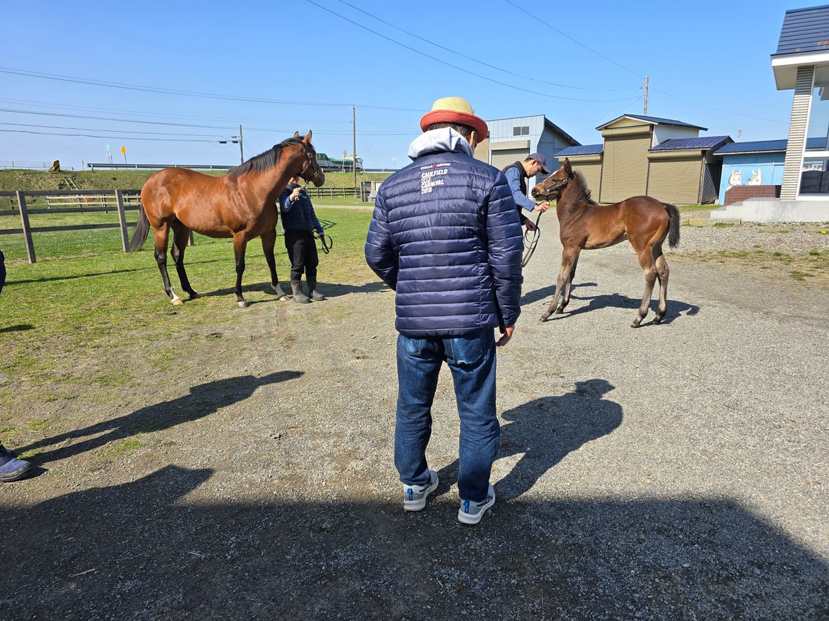 🐾てつ&ハク🐾🐴中村哲人🐱 tweet media