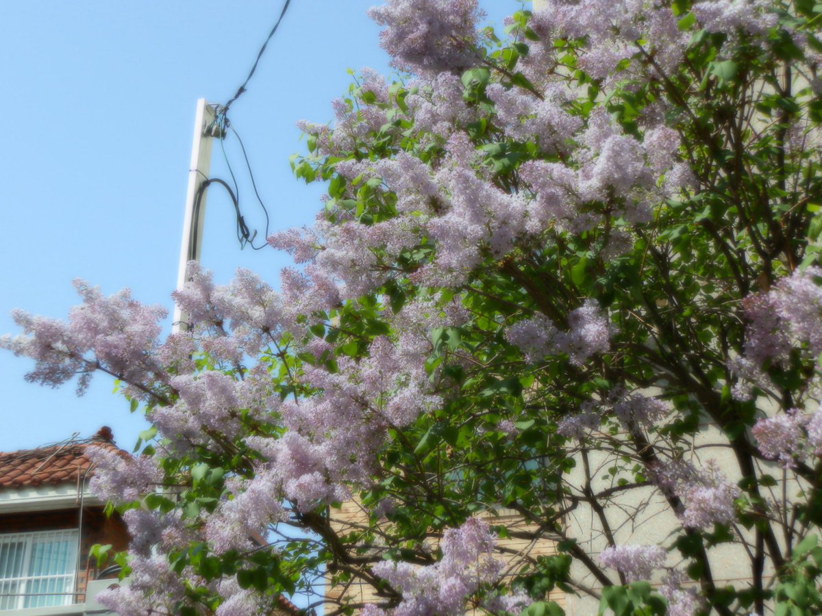 키미내 tweet media