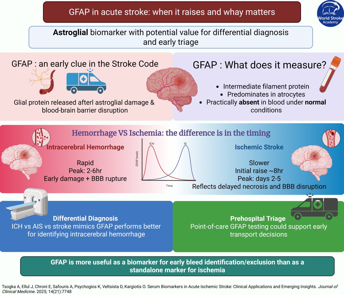 World Stroke Academy tweet media