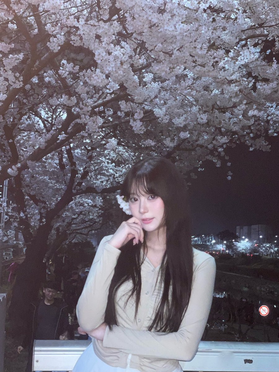 fairy_H_eng's tweet photo. 사진 하도 안올렸으니 벚꽃사진이라도 올리자 https://t.co/2aktqkMyjU