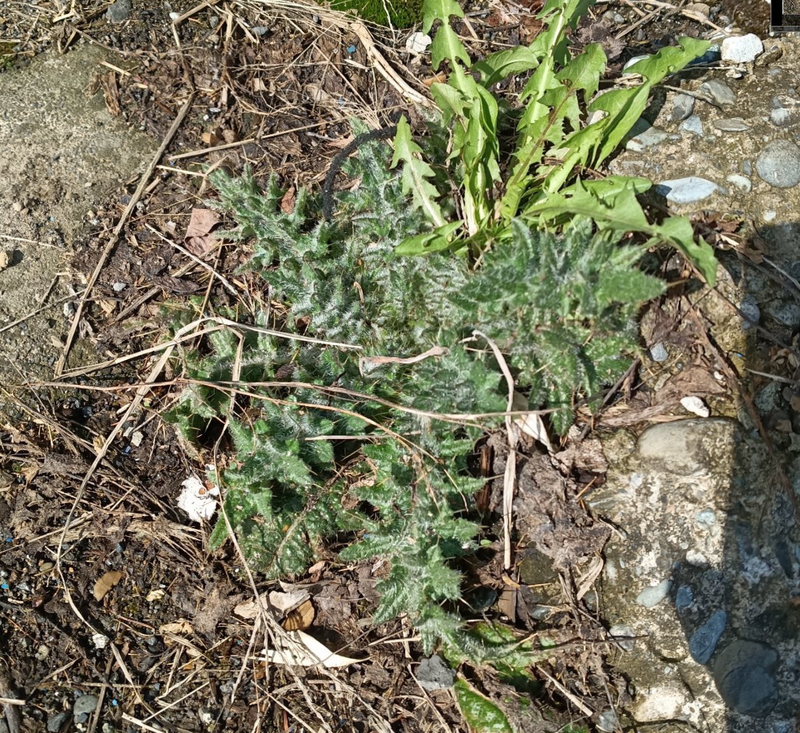 北国DIY@古民家フルリノベ🏚️🛠️ tweet media