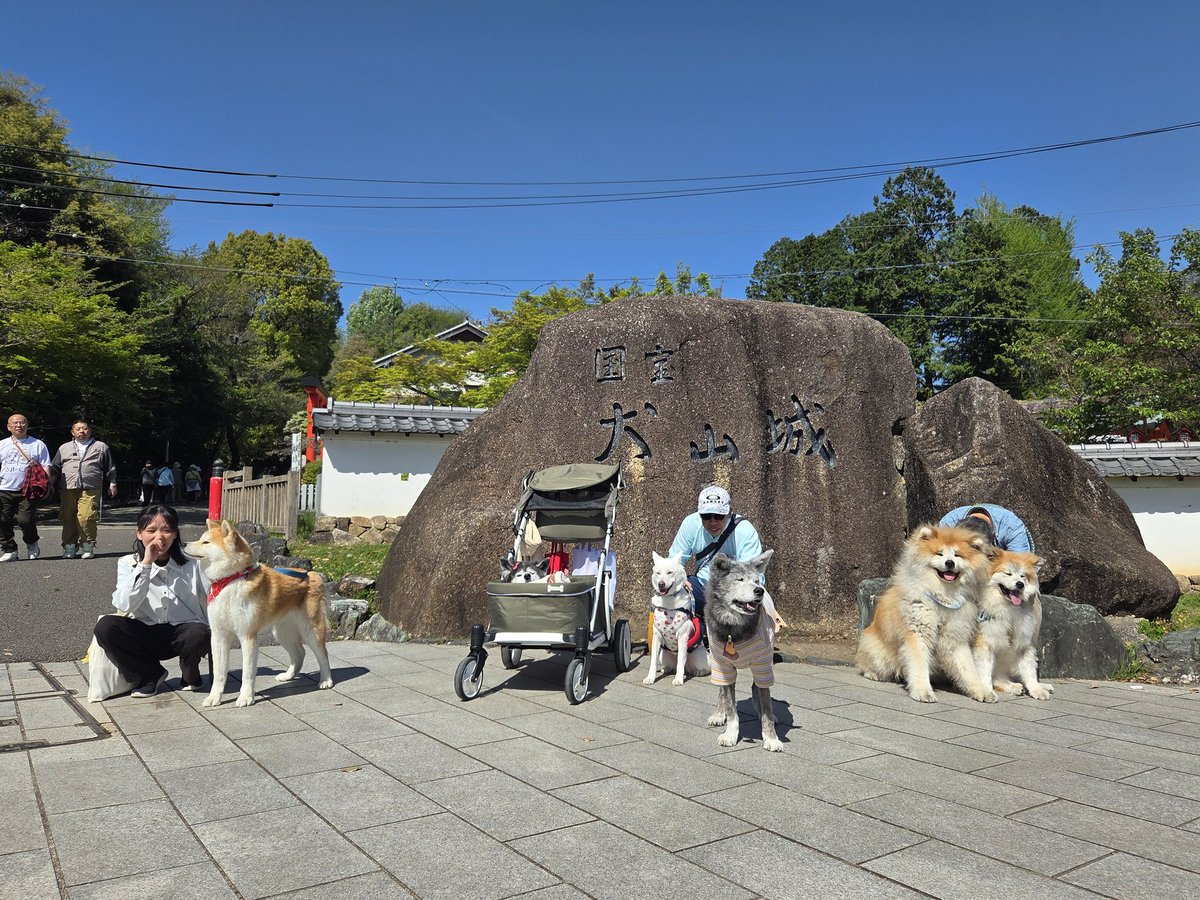 のあもこ さくら🌸 tweet media