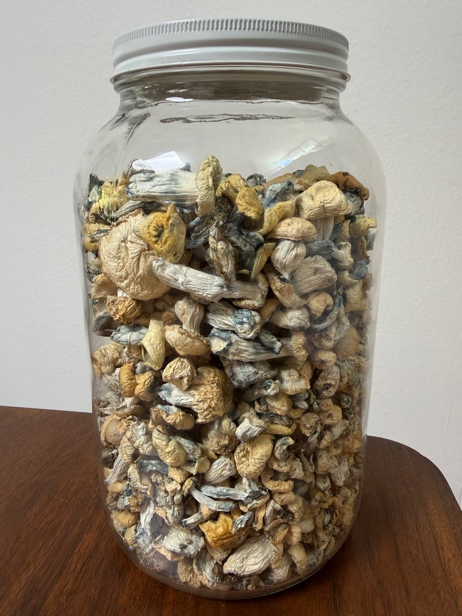 Paul F. Austin tweet media